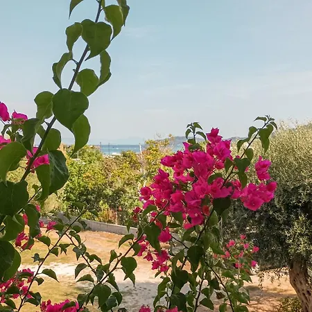 Nikolas * מוראיטיקה